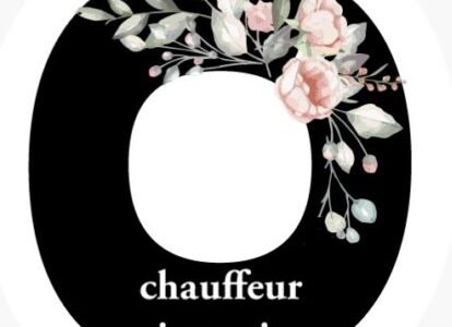 Logo chauffeur in paris